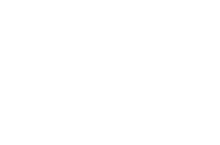 HL_Logo1_ws Kopie
